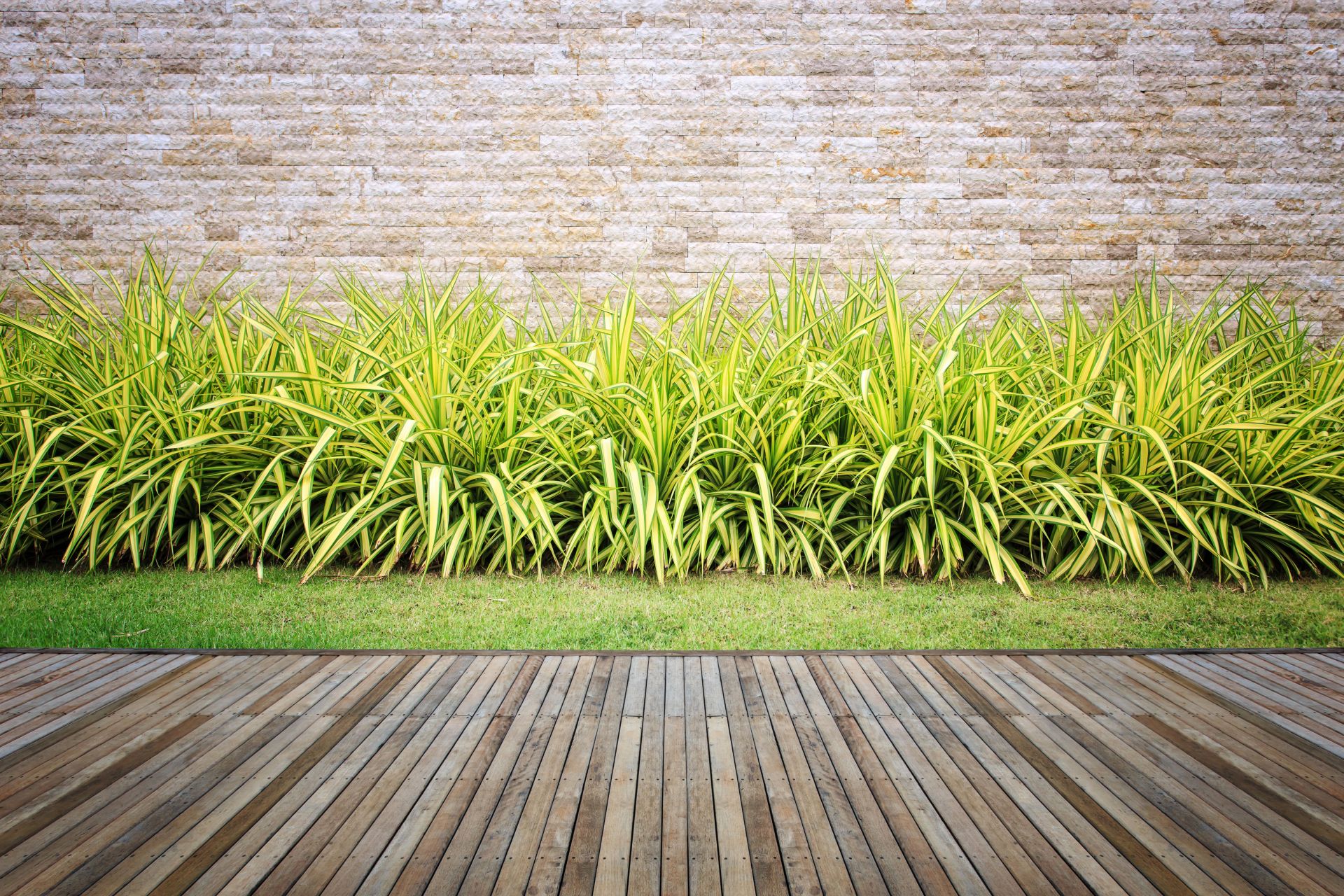 A finished modern garden by Paradise Garden — deck, lawn strip and variegated plants against a stone feature wall
