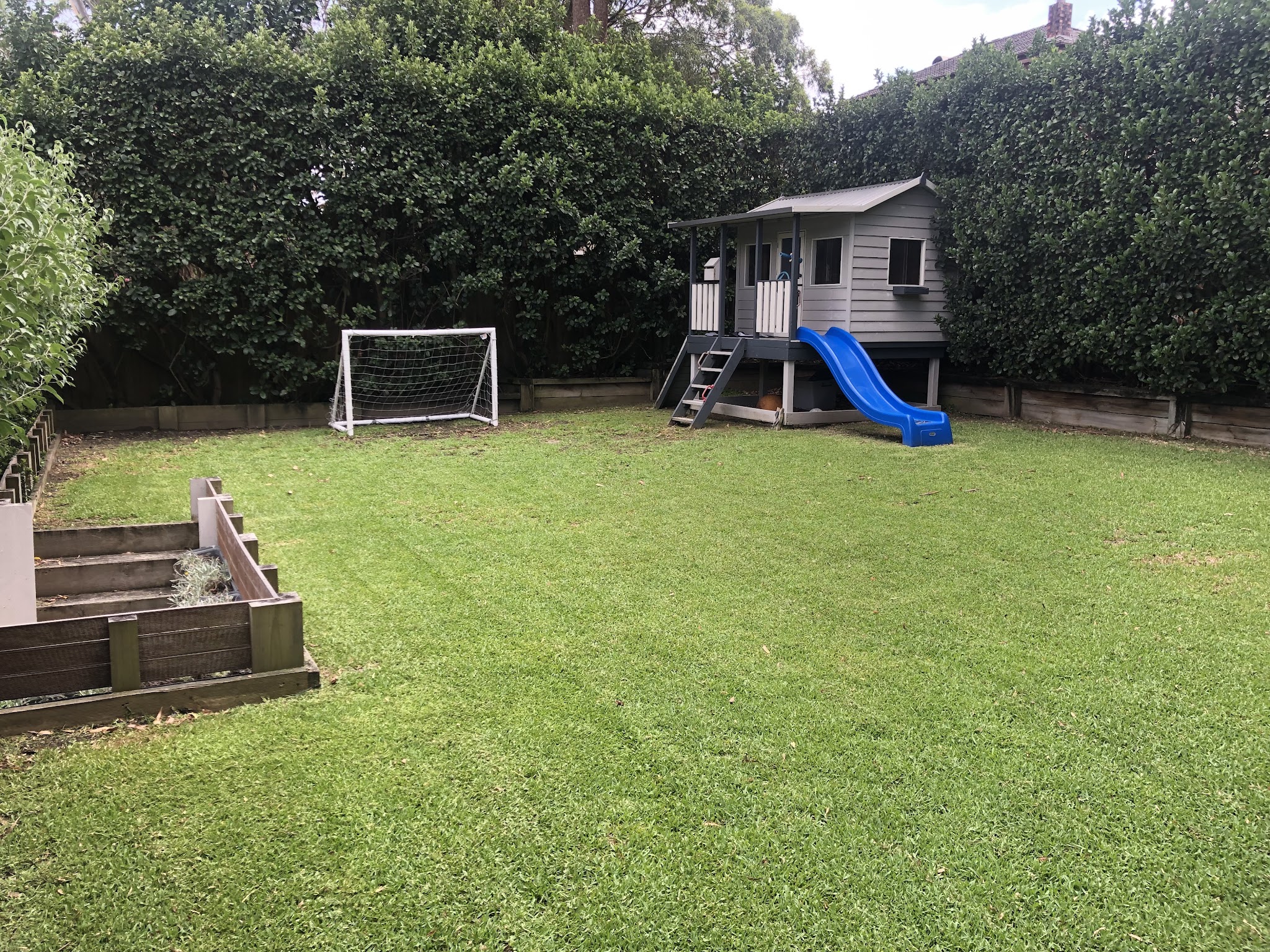 A manicured Ryde backyard with a striped lawn, tall privacy hedge and playhouse, cared for by Paradise Garden